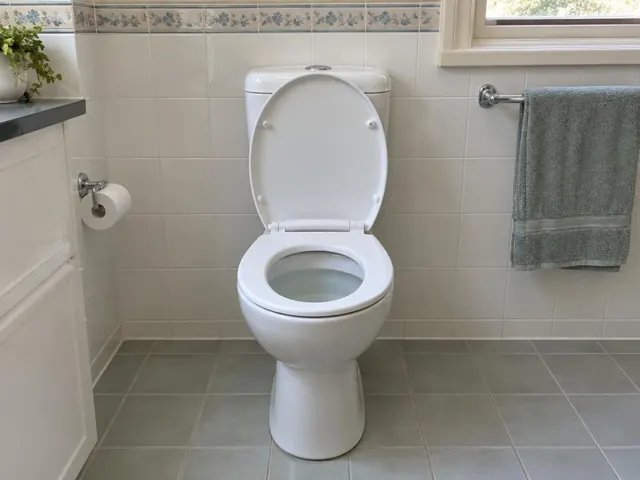 Clean white toilet in a tiled bathroom with towel rail and window in Vaucluse